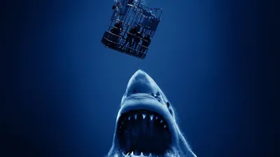 Açık Deniz 3 Kafes Dalışı izle